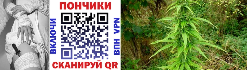 кракен как зайти  продажа наркотиков  Усть-Илимск  МАРИХУАНА план 